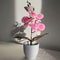 Artificial Butterfly Orchid Bonsai Potted Plant Desk And Home Decor 5