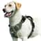 No Pull Dog Harness Adjustable Soft Padded Vest With Control Handle 8