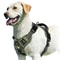 No Pull Dog Harness Adjustable Soft Padded Vest With Control Handle 8