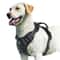 No Pull Dog Harness Adjustable Soft Padded Vest With Control Handle 2