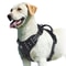 No Pull Dog Harness Adjustable Soft Padded Vest With Control Handle 2
