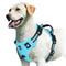 No Pull Dog Harness Adjustable Soft Padded Vest With Control Handle 9