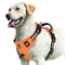 No Pull Dog Harness Adjustable Soft Padded Vest With Control Handle 7