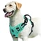 No Pull Dog Harness Adjustable Soft Padded Vest With Control Handle 3