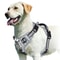 No Pull Dog Harness Adjustable Soft Padded Vest With Control Handle 4