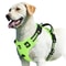 No Pull Dog Harness Adjustable Soft Padded Vest With Control Handle 1