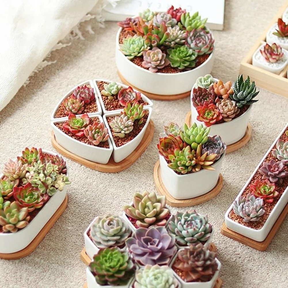 Mini Bamboo Tray Coaster Wood Saucer For Coffee Cups And Flower Pots 21