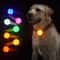 Rechargeable LED Dog Collar Light Night Safety Flash Pendantc 0