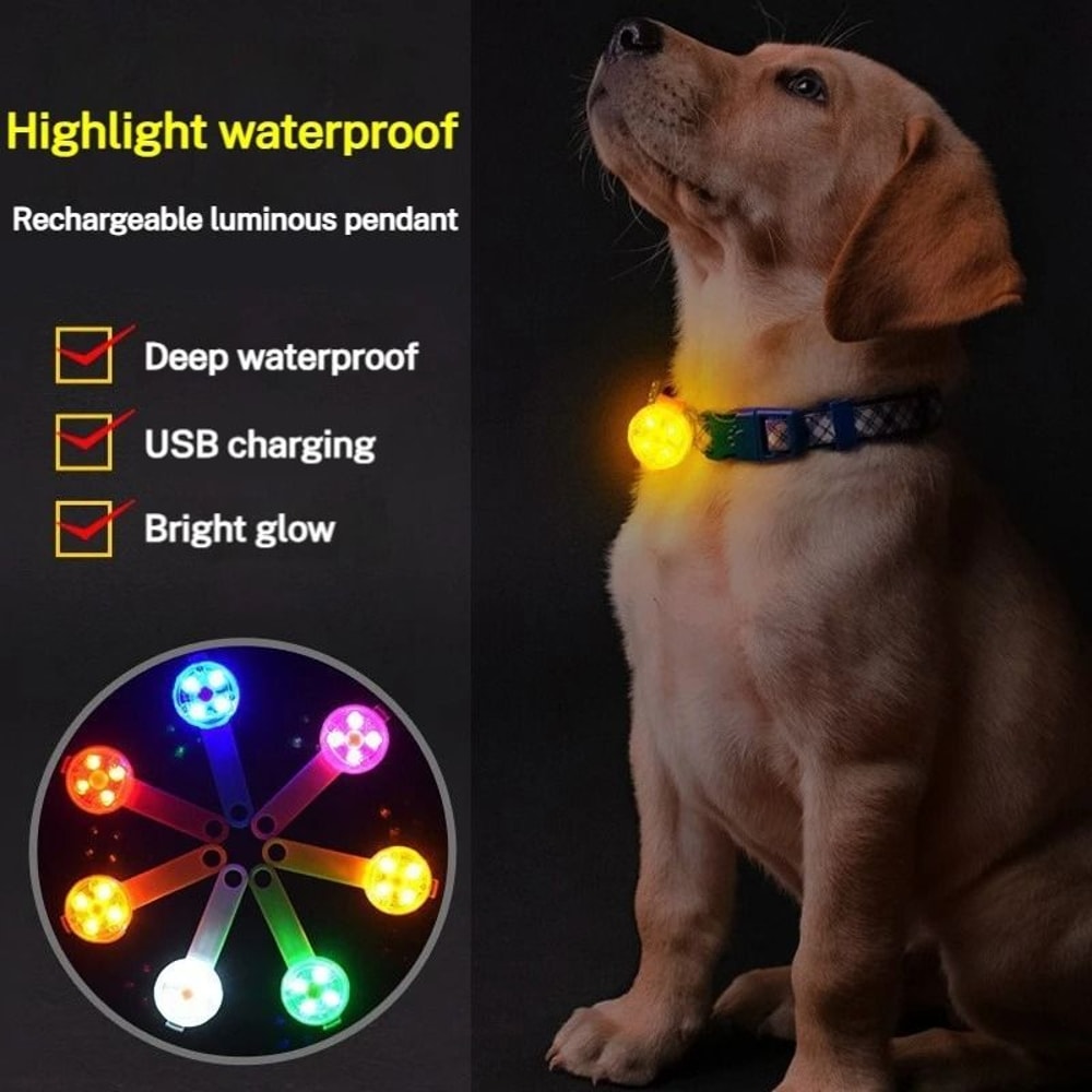 Rechargeable LED Dog Collar Light Night Safety Flash Pendantc 14