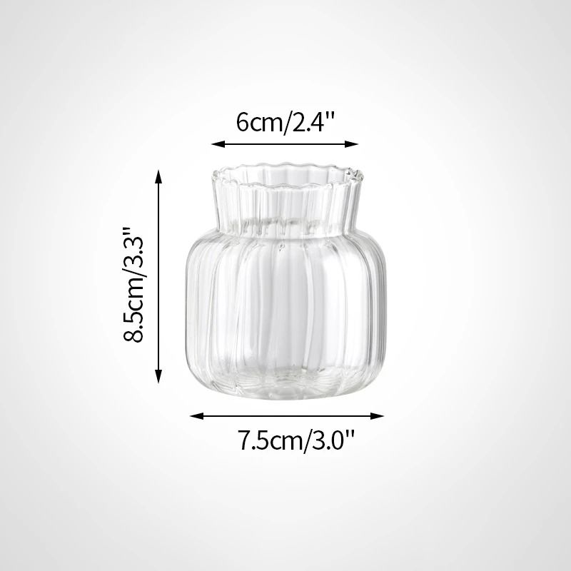 Mini Transparent Glass Flower Vase Nordic Hydroponic Plant Decor 4