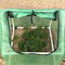 Pop Up Mini Greenhouse Winter Plant Cover With Zipper Freeze Protection Tent 6