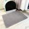 PurrShield Extra Large Double Layer Waterproof Cat Litter Mat 1
