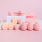 Flawless Touch 12 Piece All Purpose Makeup Sponge Set 4