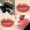 Red Brown Waterproof Moisturizing Lipstick With Mirror Finish 1