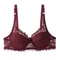 Classic Elegance Plus Size Lace Underwire Bra C D Cup 1