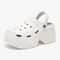 9CM Platform Beach Garden Waterproof Sandals For Women 2