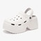 9CM Platform Beach Garden Waterproof Sandals For Women 2