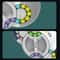 Magic Bean Cube Rotating Brain Teaser Finger Fidget Toy 12