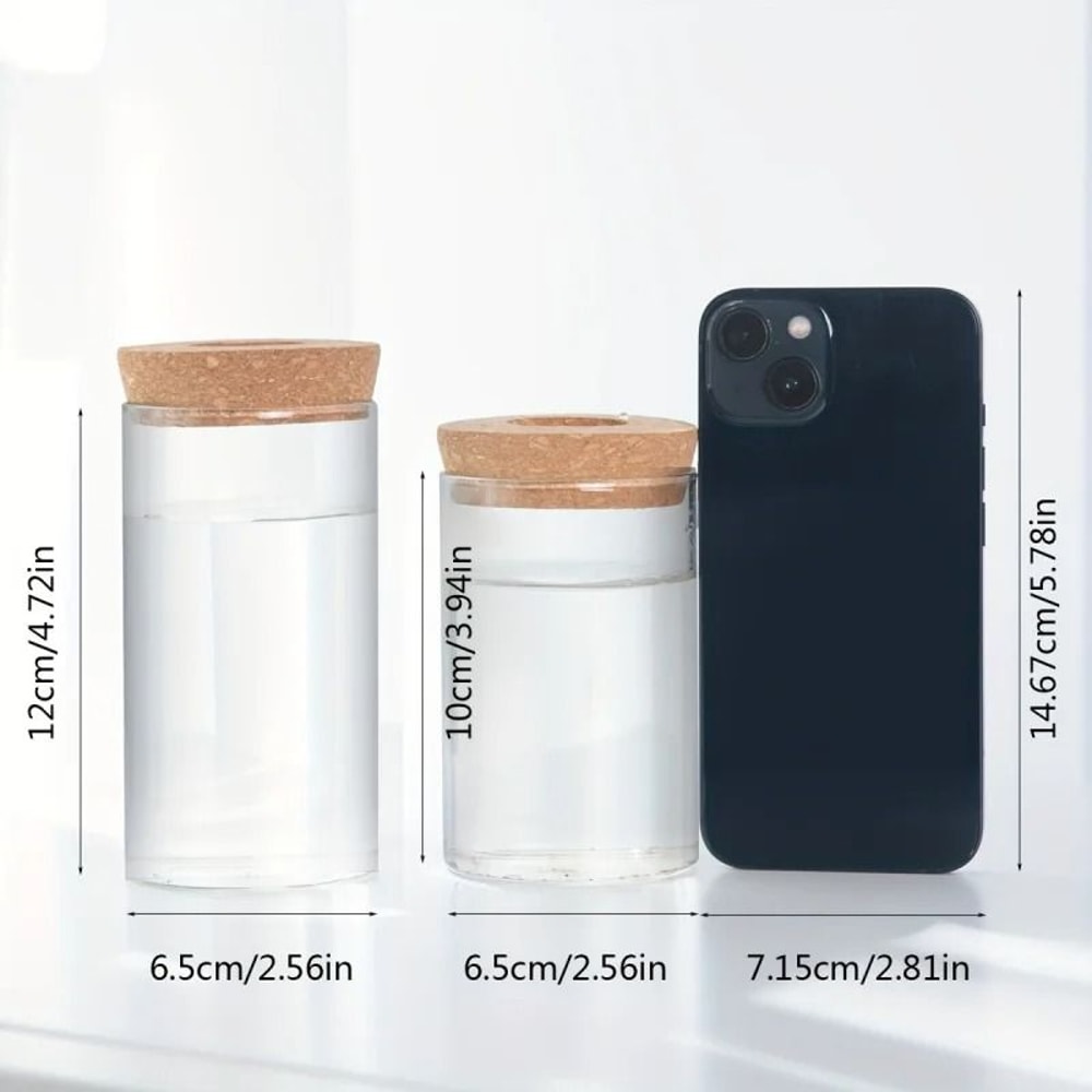 Desktop Hydroponic Plant Propagation Glass Vase 4