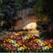 Solar Orchid Flower Lights Waterproof LED Garden Decor For Patio And Lawn 7