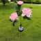 Solar Peony Flower Garden Lights 3 Head Waterproof Outdoor Pathway Lamp 5