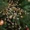 Crystal Bud Branch Christmas Tree Picks Acrylic Beaded Flower Decor 6