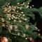 Crystal Bud Branch Christmas Tree Picks Acrylic Beaded Flower Decor 7
