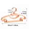 Cute Baby Clothes Hangers Set Non Slip Kids Wardrobe Organizer 10 Pack 4