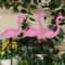 Solar Flamingo Garden Light Waterproof Outdoor LED Yard Decoration 5