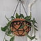 Coconut Fiber Hanging Flower Pot Basket Iron Chain Hanging Plant Basket 8