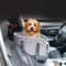Portable Pet Car Seat With Safety Buckle And Pillow Booster For Small And Medium Dogs And Cats 3