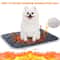 Self Heating Pet Heating Pad Washable Thermal Dog Crate Pad Warm Anti Slip Pet Bed Mat 1