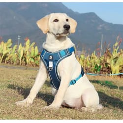 reflective dog harness adjustable no pull dog harness training vest for medium and large dogs