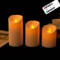 Set Of 3 LED Flameless Candles With Remote Realistic Moving Wick Pillar Candles 3