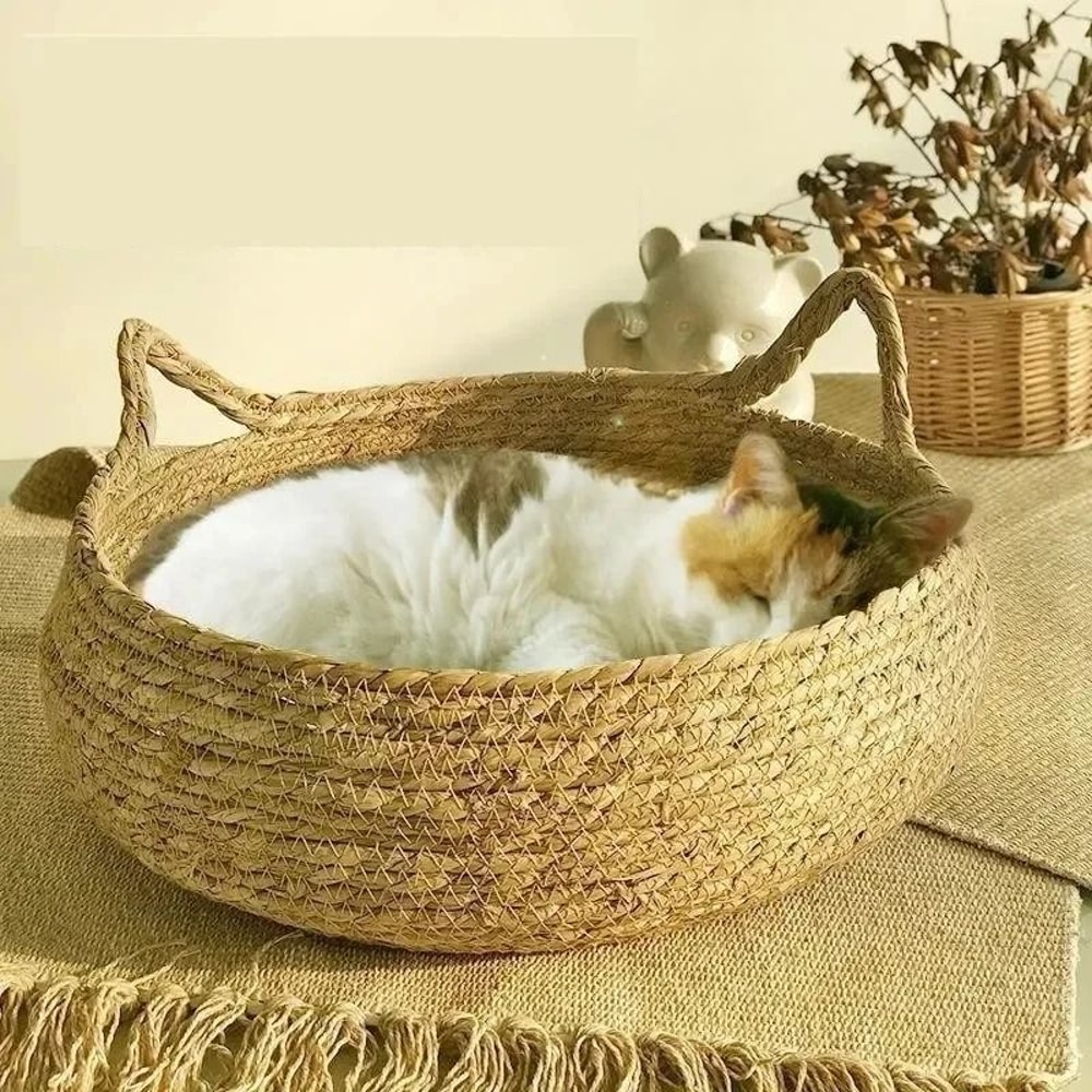 Handwoven Rattan Cat Bed With Washable Cushion For All Season Comfort 0