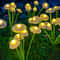 Solar Mushroom Lights Outdoor Waterproof LED Garden Landscape Decor Lights 1