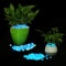 Glow In The Dark Pebbles 500pcs Luminous Garden Decorative Stones 9