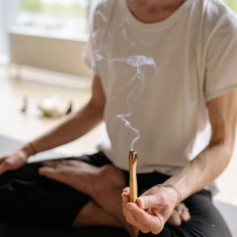 Palo Santo Sticks Natural Smudging Wood Incense Aromatherapy Sticks Set 7