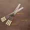 Stainless Steel BBQ Skewer Fork Long Handle Kebab Grill Stick For Outdoor Cooking 6
