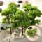 Miniature Model Trees Set 10pcs Railroad Scenery Trees For Diorama And Landscape Decor 0