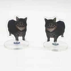 rotating cat desk decor cute kitten acrylic stand kawaii cat ornament 360 display