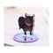 Rotating Cat Desk Decor Cute Kitten Acrylic Stand Kawaii Cat Ornament 360 Display 2