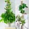 Moss Pole For Plants Indoor Climbing Plant Support Pole Adjustable Moss Stick 6