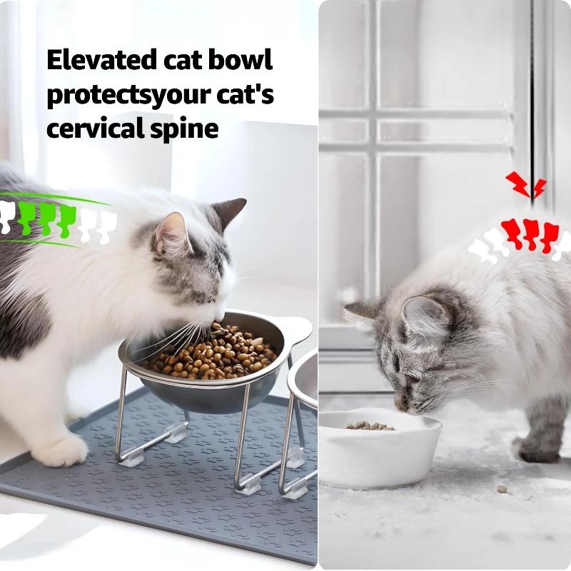 Stainless Steel Cat Bowl Elevated Tilted Cat Bowl Raised Pet Feeding Bowl 3