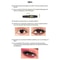 4D Waterproof Fiber Mascara For Volume Length And Curl 7