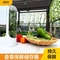 Fresh Herb Storage Box Vegetable Keeper Container For Fridge Organization 1