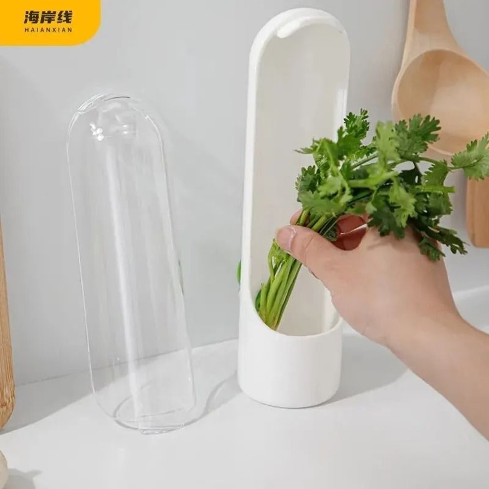 Fresh Herb Storage Box Vegetable Keeper Container For Fridge Organization 2