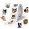 500 Pcs Funny Cat Meme Stickers Waterproof Cartoon Sticker Roll For DIY 0