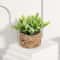 Artificial Eucalyptus Potted Plant Mini Indoor Greenery Home Decor 1