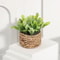 Artificial Eucalyptus Potted Plant Mini Indoor Greenery Home Decor 1